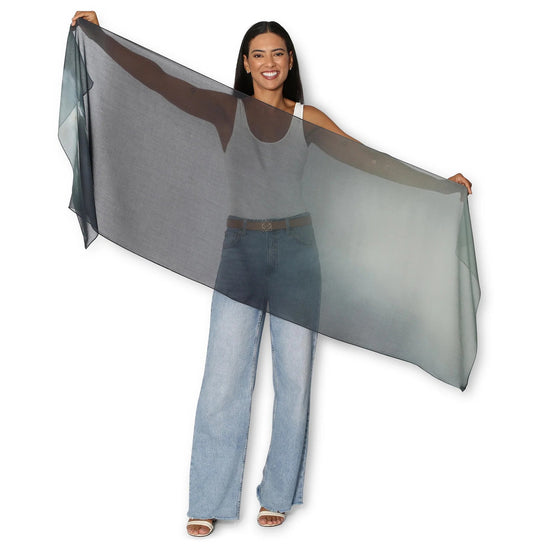 Wash of Memories Silk Chiffon Scarf by Theresa Hunt