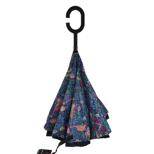 Umbrella - William Morris (Strawberry Thief Original)